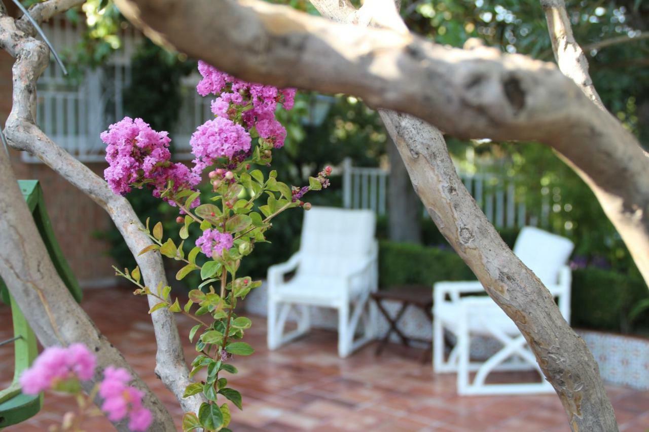Villa El jardín de la abuela Granada Exterior foto