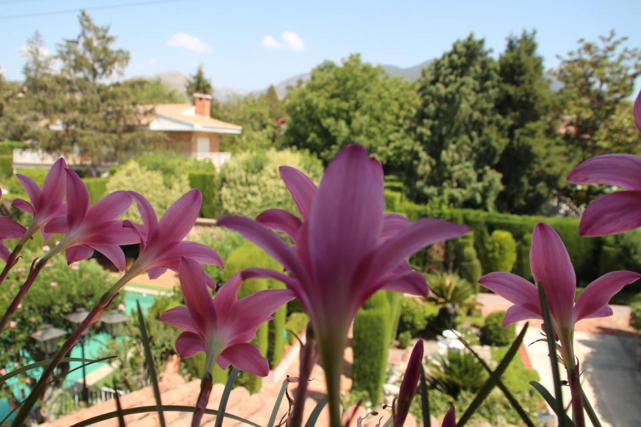 Villa El jardín de la abuela Granada Exterior foto