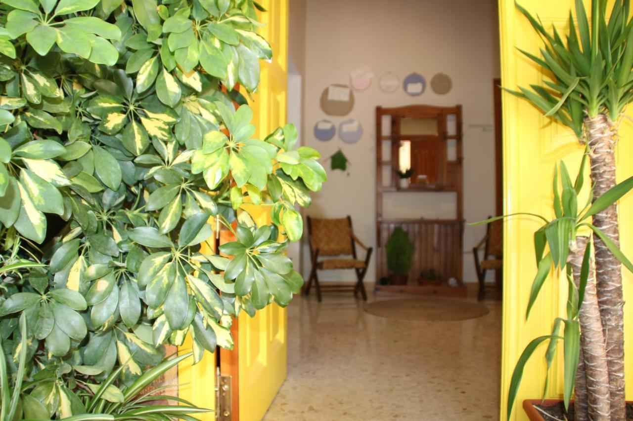 Villa El jardín de la abuela Granada Exterior foto